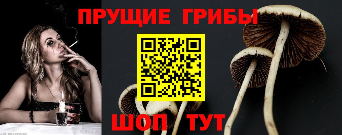 цена   Вход с VPN  Добрянка  Псилоцибиновые грибы ЛСД 